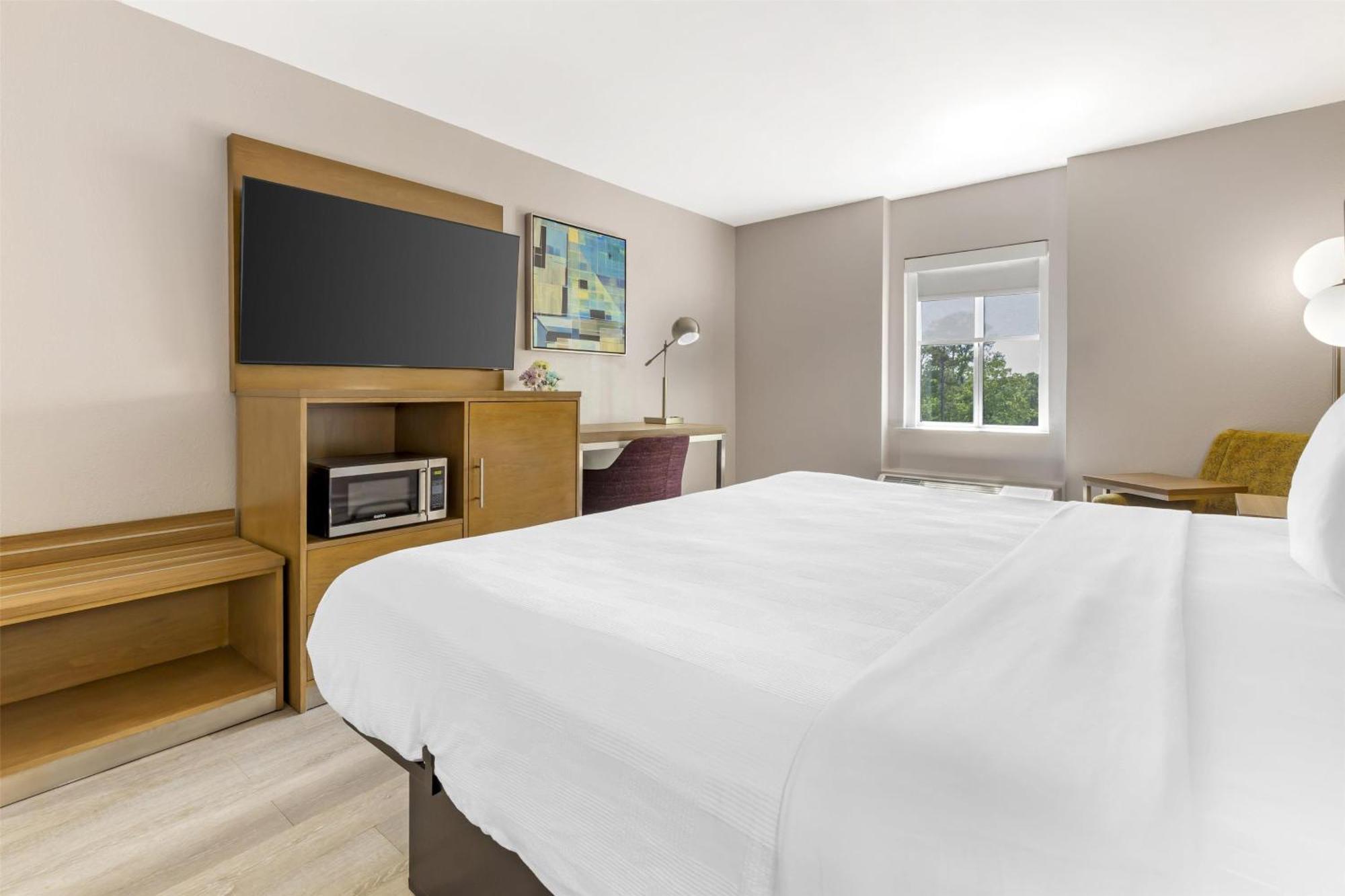 King Room Mobility Accessible Bathtub