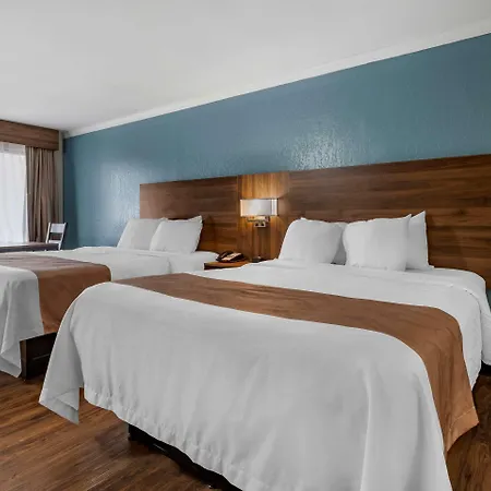 Quality Inn & Suites Ft Jackson Maingate-3