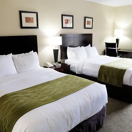 Comfort Inn Southwest Fwy At Westpark-3