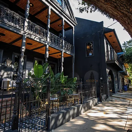The Prytania Oaks-2