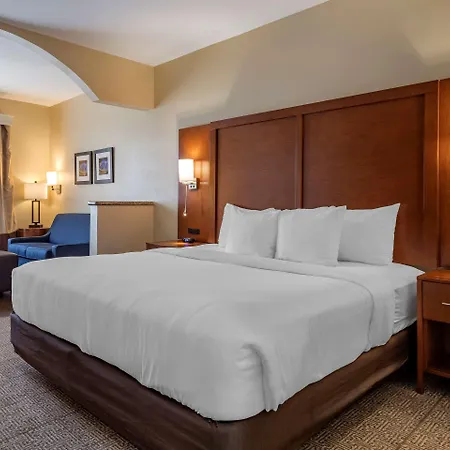 Comfort Suites Houston Near Medical Center- Nrg Stadium-2