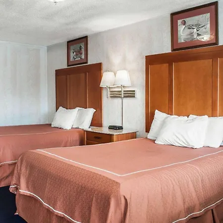 Rodeway Inn & Suites-2
